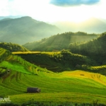 rizieres en terasses à sapa