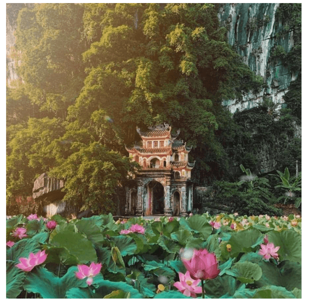 VIAGGIO HANOI - STAGIONE DI FIORE DI LOTO